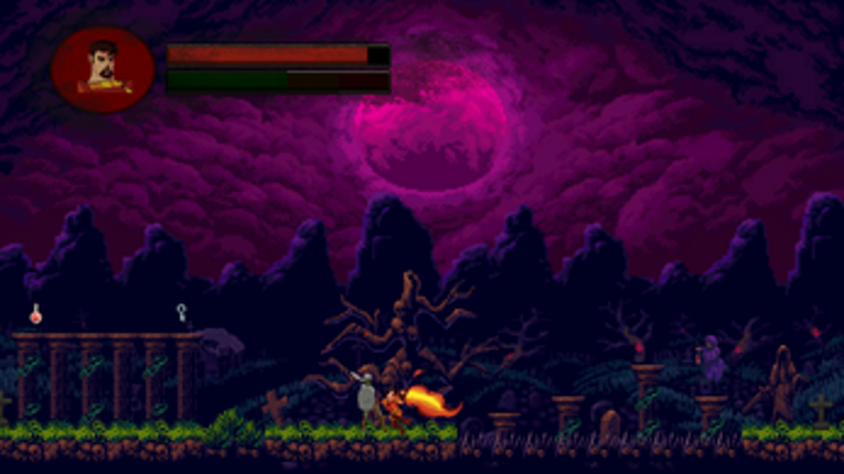 The Wanderer Image