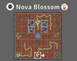 Nova Blossom Image