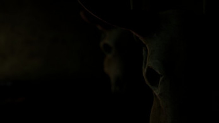 Shadow Play's screenshot