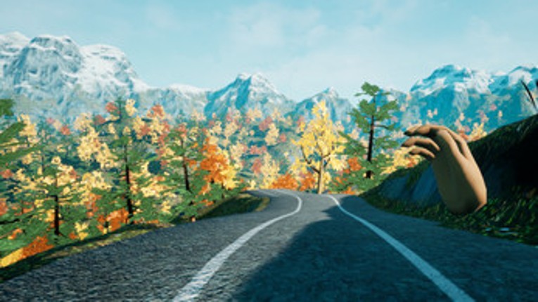 Trail Runner Image