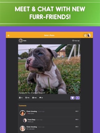 Pet Parade: Cutest Dogs &amp; Cats screenshot