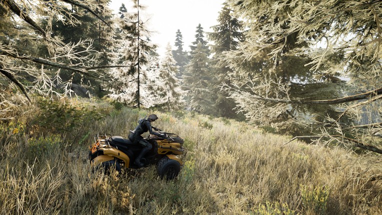 ROGUE PROTOCOL Image