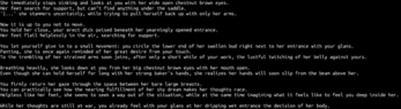 Some Medieval Adventures Image