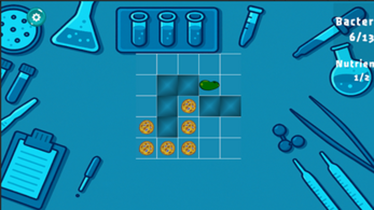 BioDivide screenshot