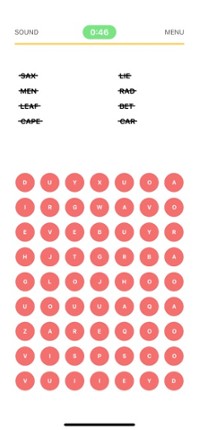 Find the Words Image