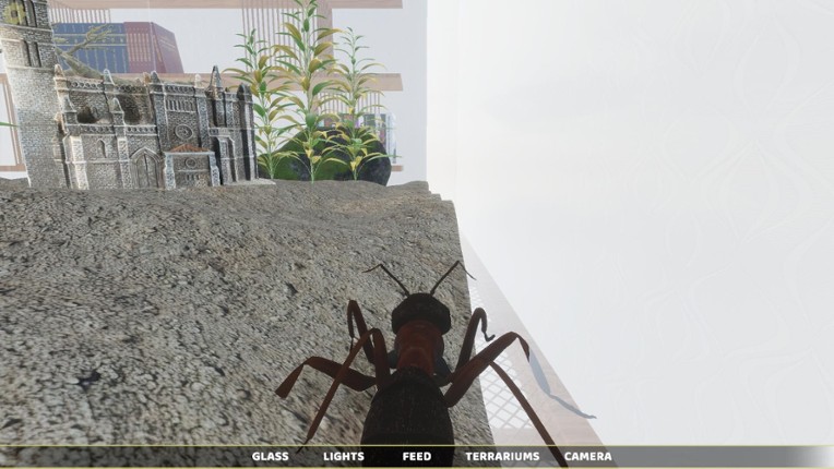 Ant Simulator screenshot