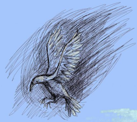 Drawsum.com screenshot