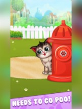 My Fluffy Kitty: Pet Care Game Image