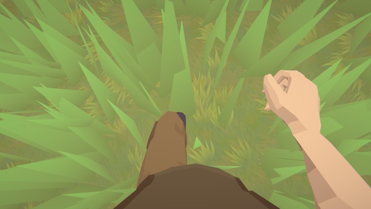 Skyrift: The Shattered Sky Image