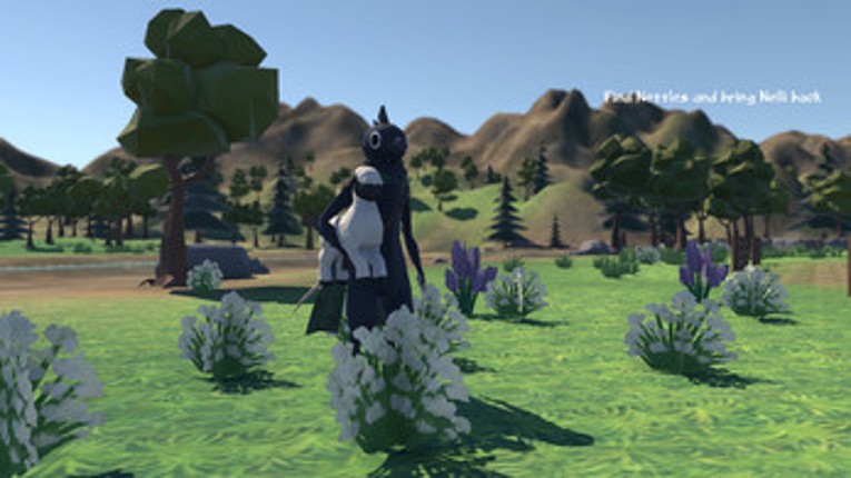 Bertrams Lost Coin Image