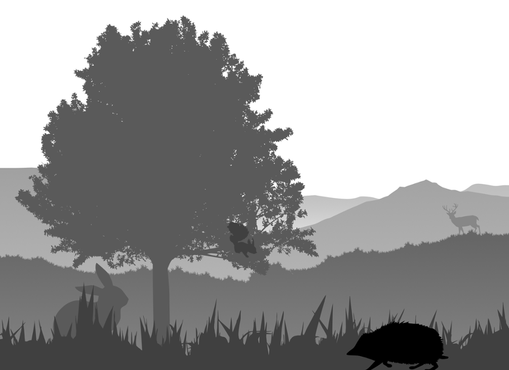 Games like Fursworn (Working Title)