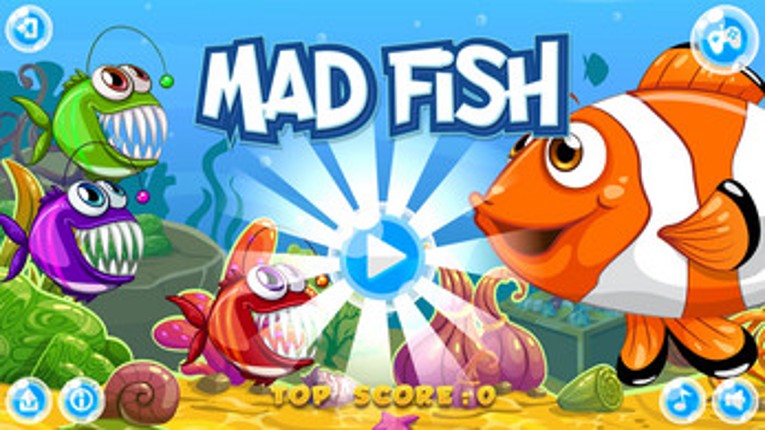 Mad Fish Image