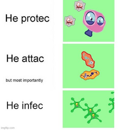 Protec Attac Infec Image
