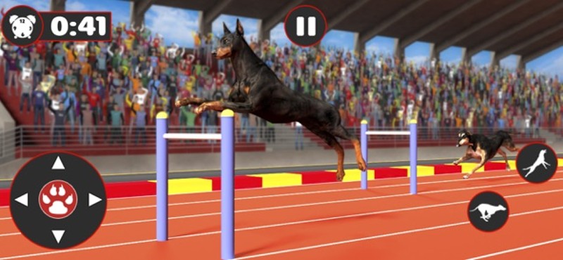 Greyhound Dog Racing Derby screenshot