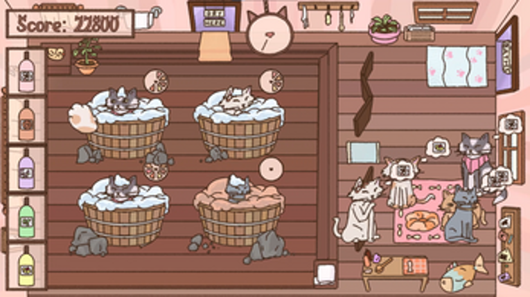 Catwash Image