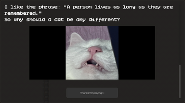 Fluffy Kitty:) screenshot