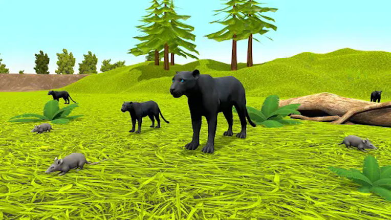 Black Panther Simulator Games Image
