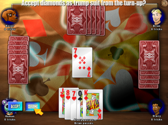 8 Card Gamepack for Raspberry Pi screenshot