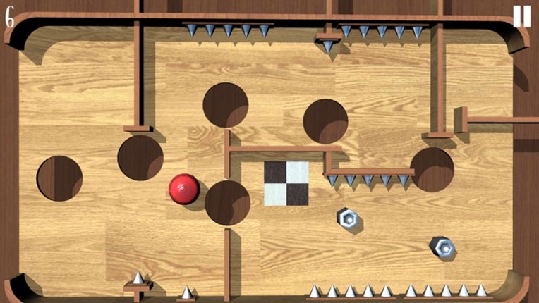 Labyrinth Trap Image