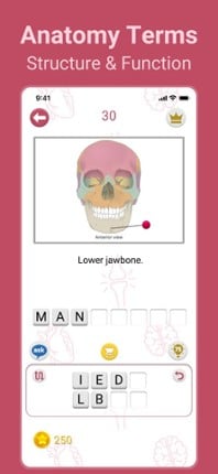 Medical Findings Image