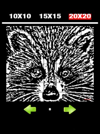 Nonogram 7 Image