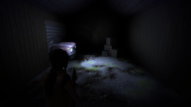 Phantom House Image