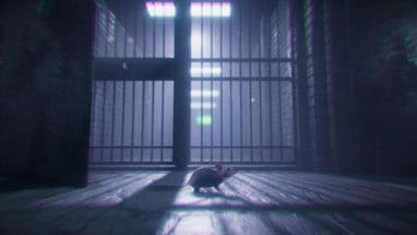 Rat Cage Image