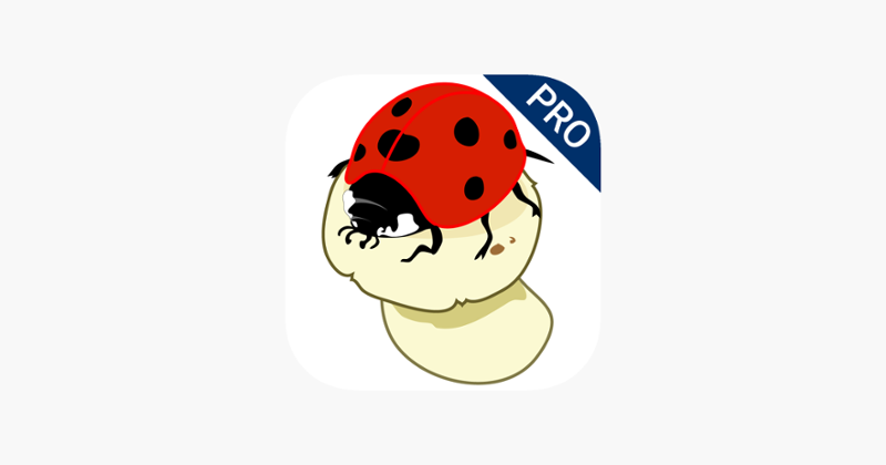 AboutNumbers PRO Image