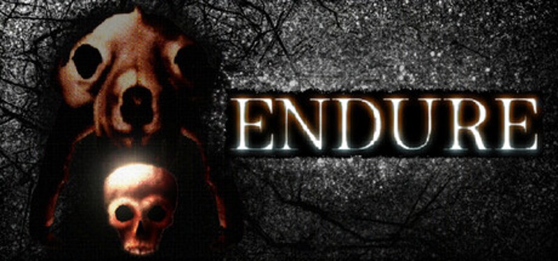 ENDURE Image