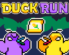 Duck Run Image