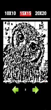 Nonogram 7 Image