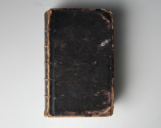 The Nickerbocker’s Tale (The Lost Book Behind... Candle Cove?) Image