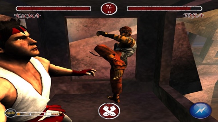 Zen Warrior screenshot