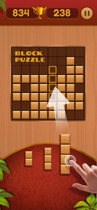 Block Puzzle:Wooden Puzzle Image