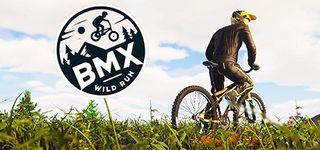 Games like BMX Wild Run