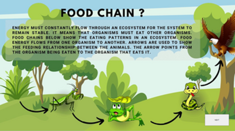 FOOD CHAIN: WHO EAT WHO ? screenshot