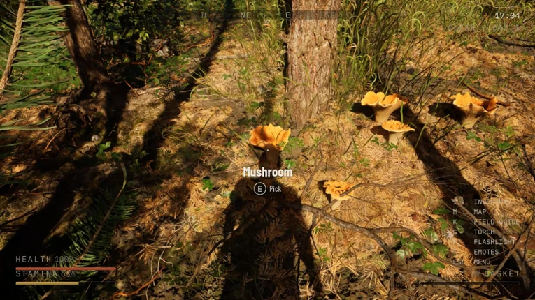 Holy Shroom! Image