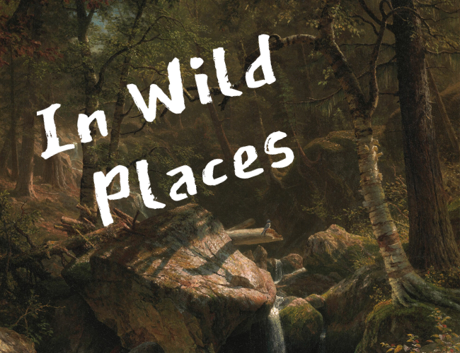 Games like In Wild Places