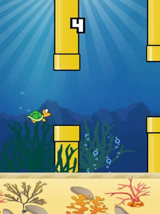 Splashy Turtle Image