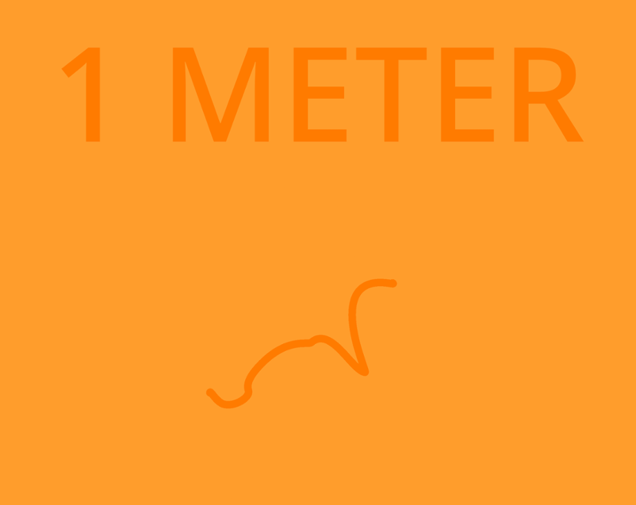 Games like 1 meter (mobile support)