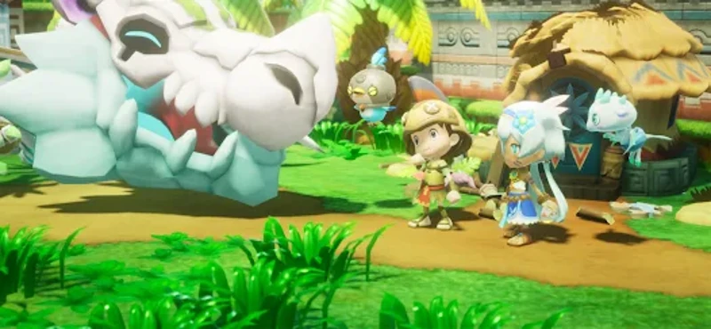 Fantasy Life i Image