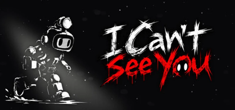 I Can't See You Image