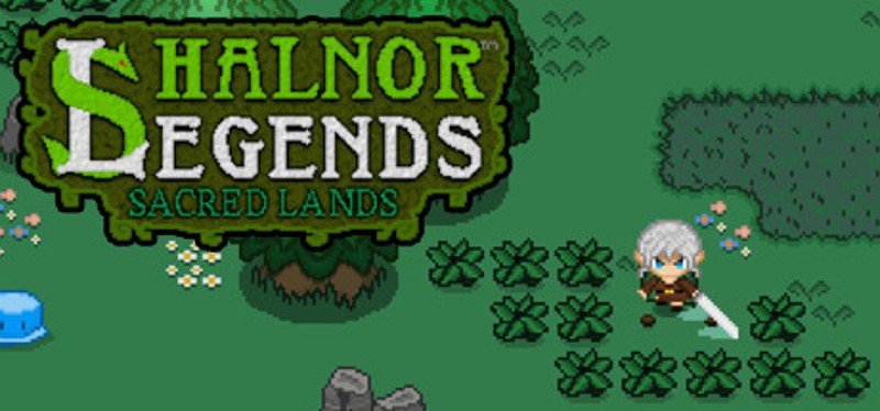 Shalnor Legends: Sacred Lands Game Cover