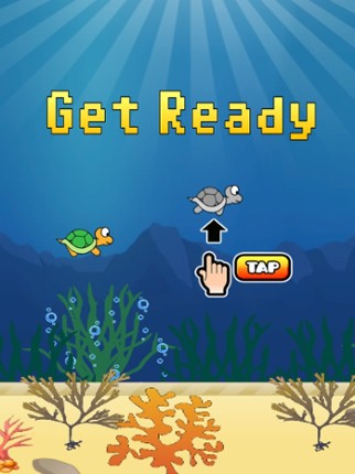 Splashy Turtle Image