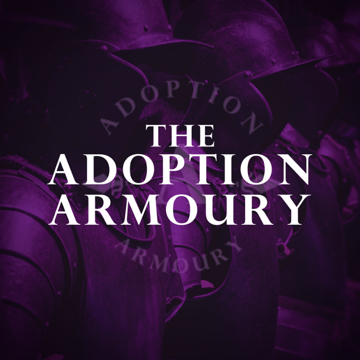 Games like Adoption Armoury