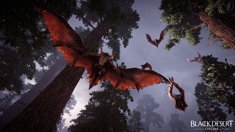 Black Desert: Traveler Edition Image