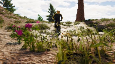 BMX Wild Run Image