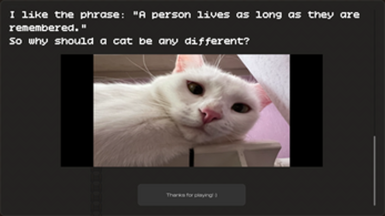 Fluffy Kitty:) Image