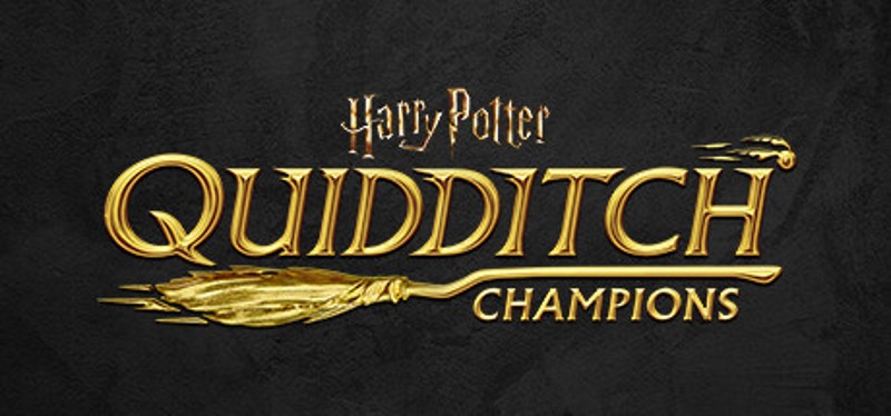Harry Potter: Quidditch Champions Image