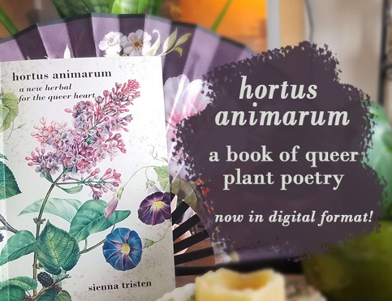 hortus animarum: a new herbal for the queer heart Image